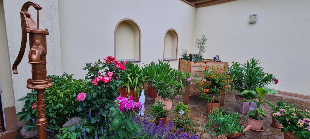 Die Ferienwohnung "Am Kietz" Schwedt Dış mekan fotoğraf